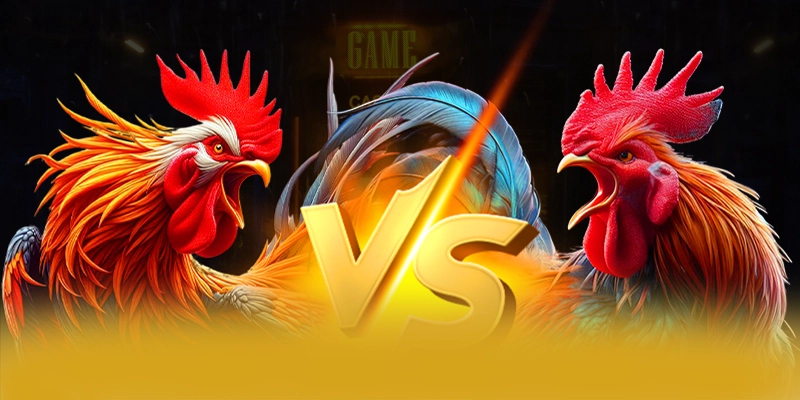 Câu hỏi thường gặp về 8xbet Câu hỏi thường gặp về 8xbet
